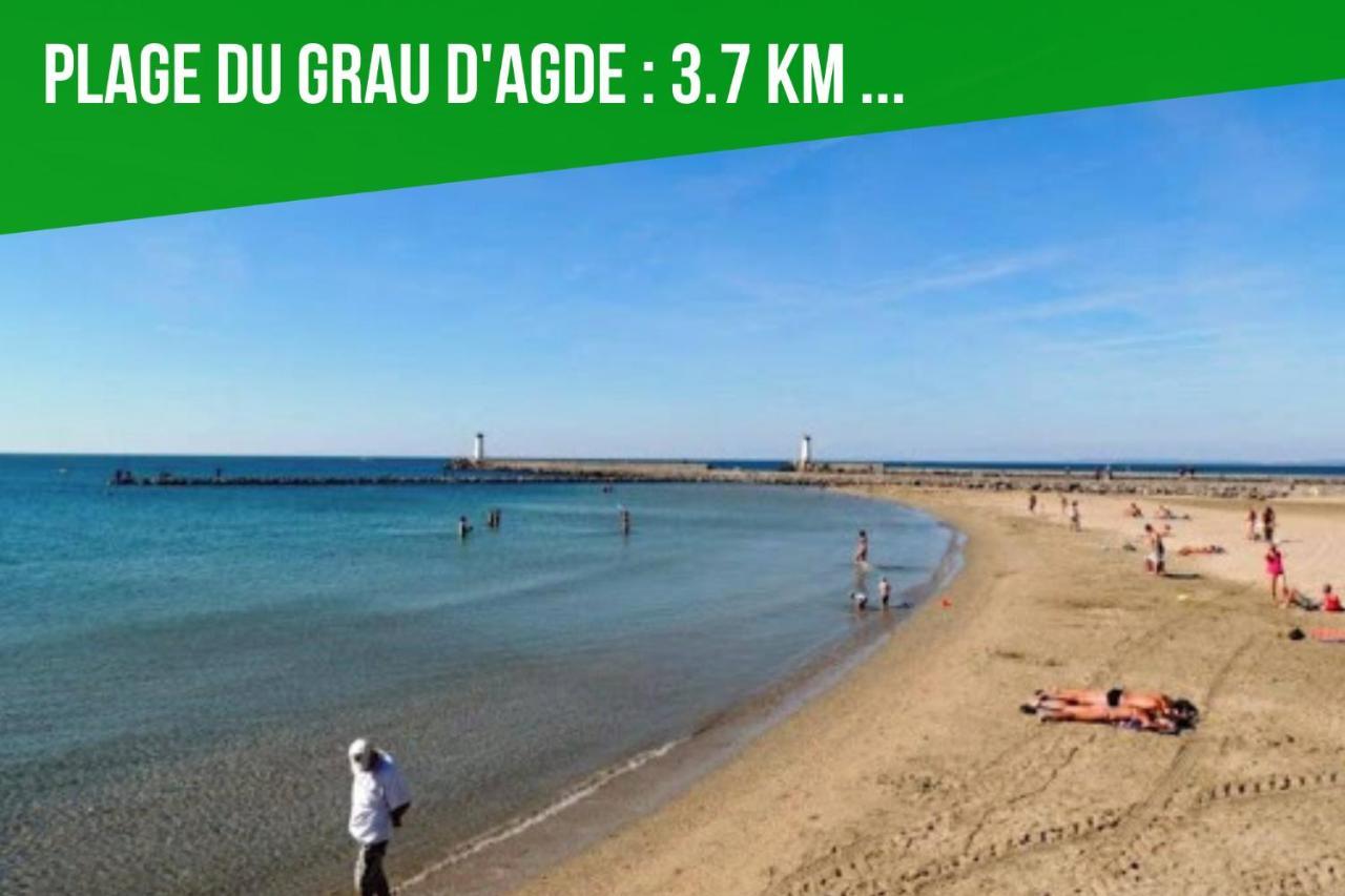 Apartment ~☆ T2 Les Pins Du Midi - Agdebnb ☆~